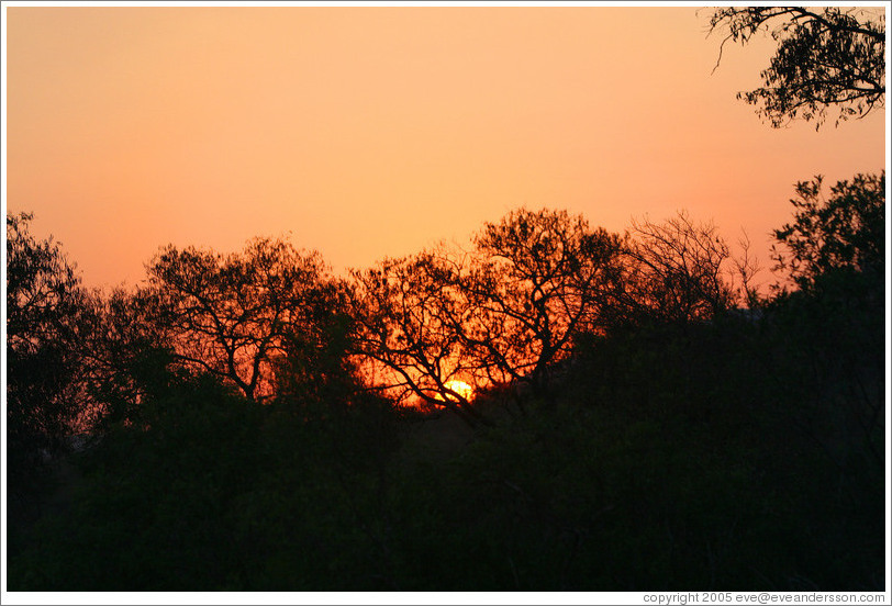 Sunset on the African Savannah.