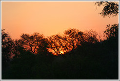 Sunset on the African Savannah.