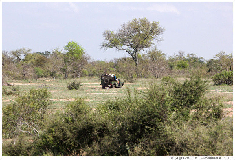 Land Rover in the savanna.