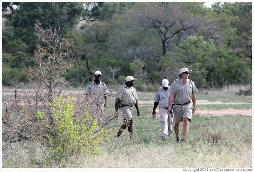 Rangers following animal tracks in the savanna.