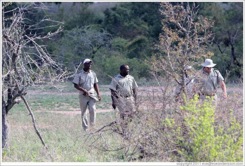 Rangers following animal tracks in the savanna.