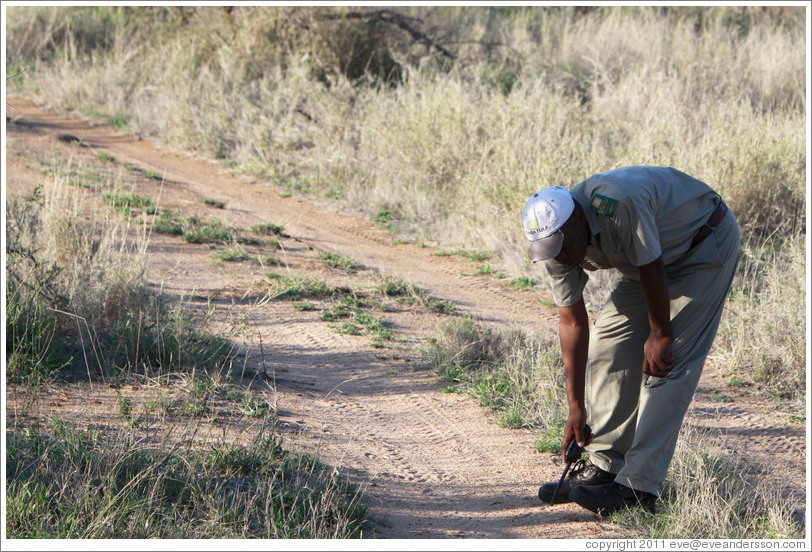 Patrick examining animal tracks.