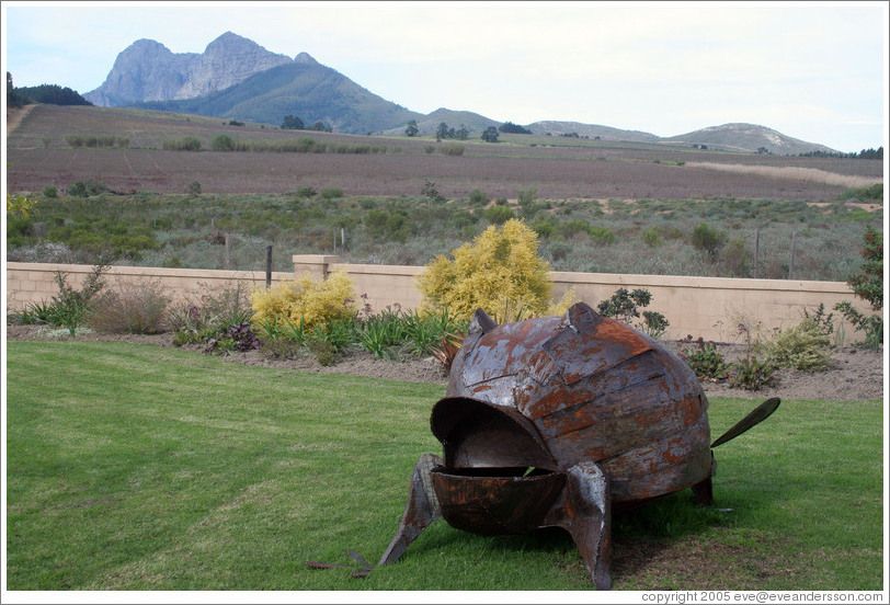 Anura winery, near Paarl.