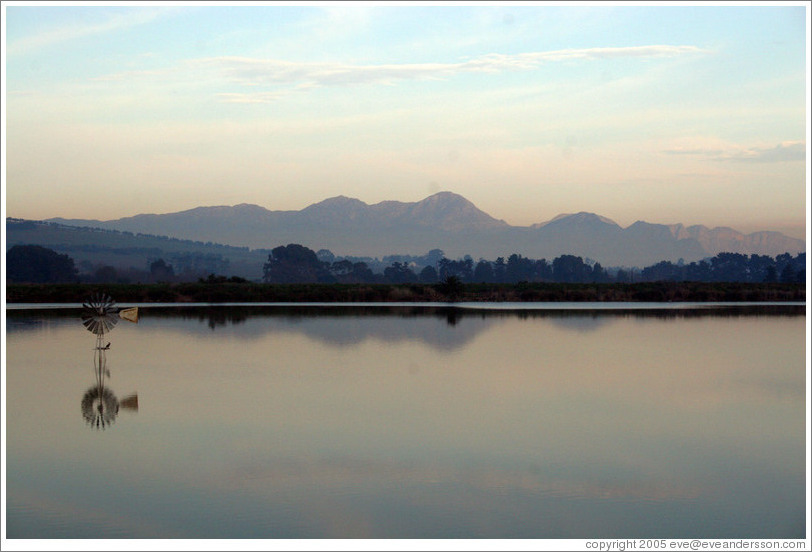 Lake near Stellenbosch.