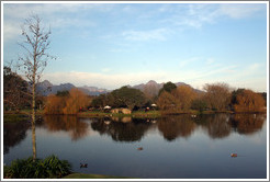 Pond at the Spier Winery.