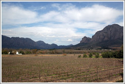 Vrede en Lust winery.