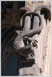 Lizard.  La Sagrada Fam?a.