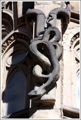 Serpent.  La Sagrada Fam?a.