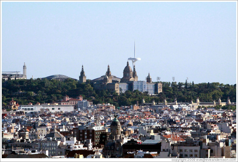 Barcelona, viewed from La Sagrada Fam?a.