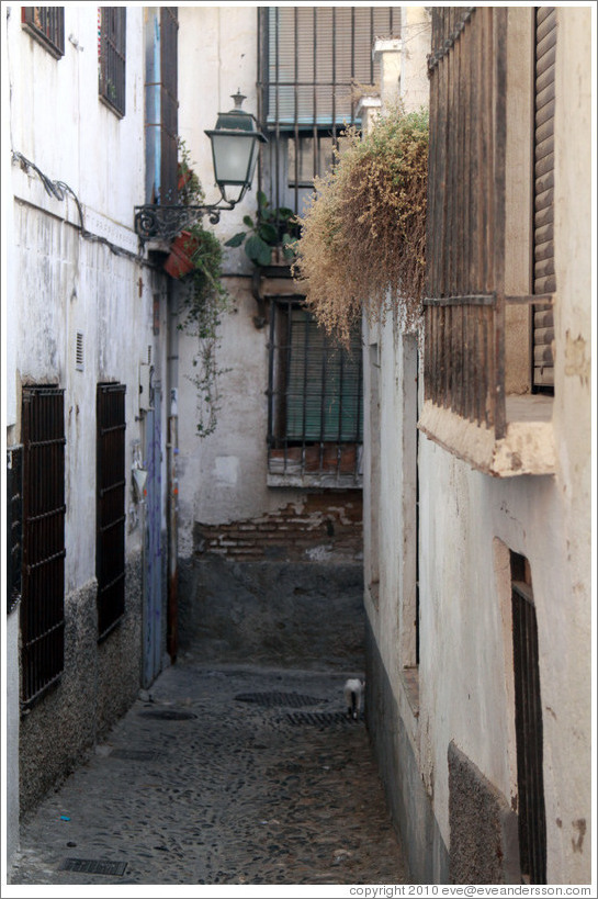 Calle del Correo Viejo, Albaic?