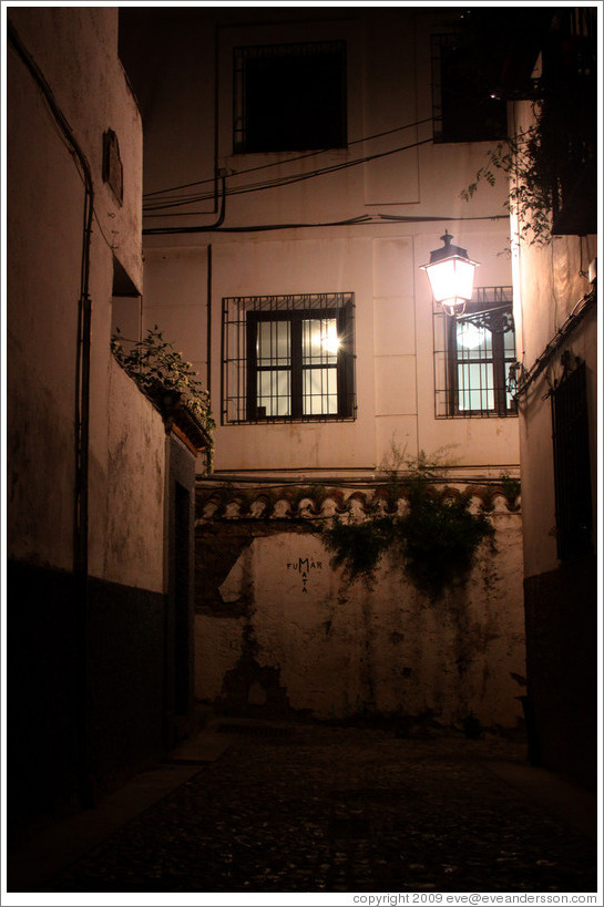 Calle del Pianista Garc?Carrillo at night.  Albaic?