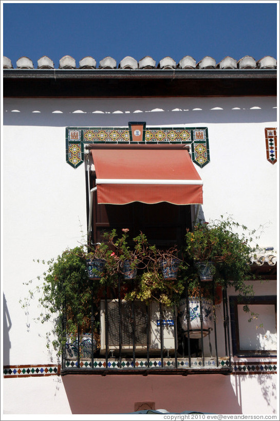 Balcony with flowers. Calle Puerta Nueva, Albaic?