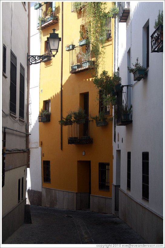 Calle de San Juan de los Reyes, Albaic?