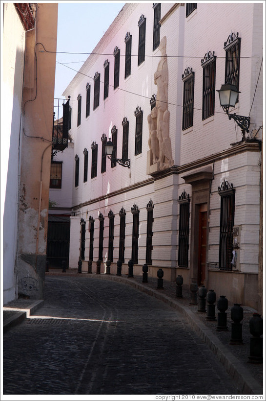 Calle de San Juan de los Reyes, Albaic?