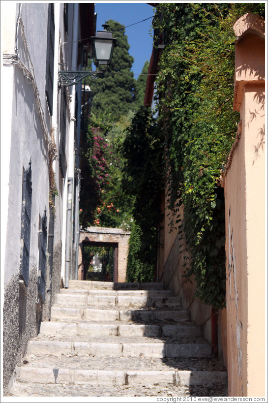 Calle Sierra de San Pedro, Albaic?