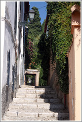 Calle Sierra de San Pedro, Albaic?