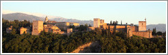 View of the Alhambra from Mirador de San Nicol?(8:40pm).