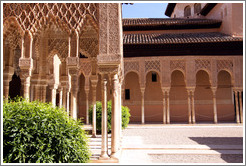 Arches at Court of Lions.  Nasrid Palace, Alhambra.