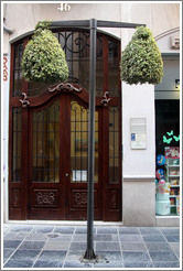 Street lamp covered with leaves, Calle de los Mesones, city center.