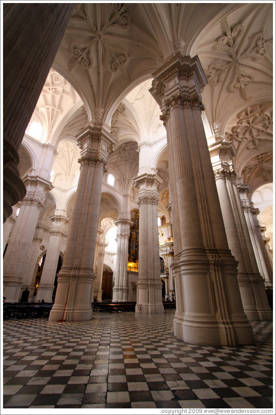 Columns of the Granada Cathedral.