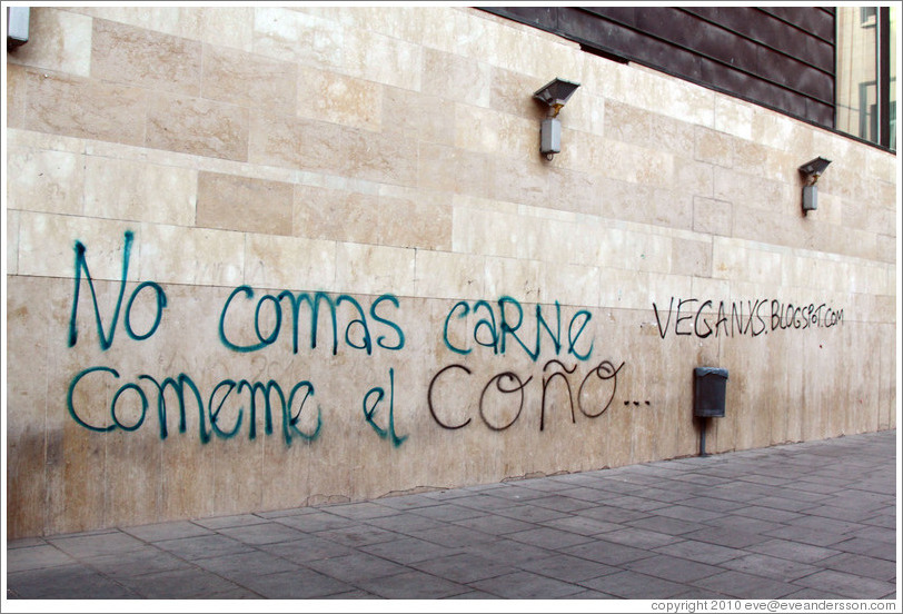 Graffiti promoting vegetarianism, reading "Don't eat meat. Eat my [female body part]." Plaza de San Agust? city center.
