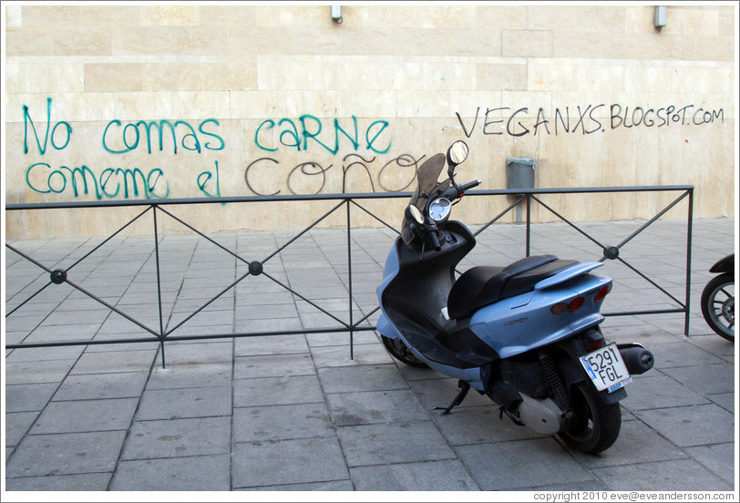 Graffiti promoting vegetarianism, reading "Don't eat meat. Eat my [female body part]." Plaza de San Agust? city center.