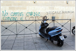 Graffiti promoting vegetarianism, reading "Don't eat meat. Eat my [female body part]." Plaza de San Agust? city center.