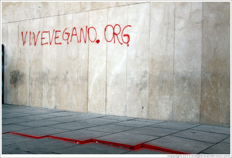 Graffiti promoting a vegan web site, vivevegano.org. Plaza de San Agust? city center.