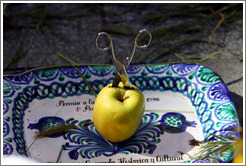 Scissors in an apple (called a "pero" -- which also means "but" in Granadan Spanish).  Symbolizes destruction of objections.  Fiesta de las Cruces.  Plaza de Bib-Rambla.  City center.