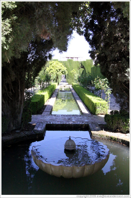 Fountain and arc of trees.  Generalife.