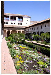 Garden and fountain.  Palacio del Generalife.