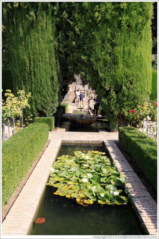 Pond, Generalife gardens.