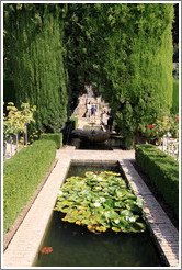 Pond, Generalife gardens.