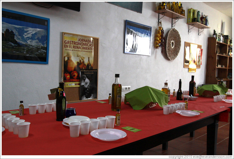 Olive oil tasting. Nig?elas, Granada province.