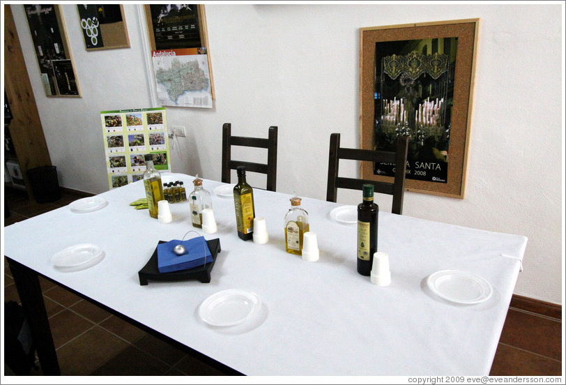 Olive oil tasting.  Nig?elas, Granada province.