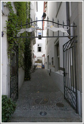 Gate with dogs.  Narrow street off 	
Oberdorfstrasse.  Altstadt (Old Town).