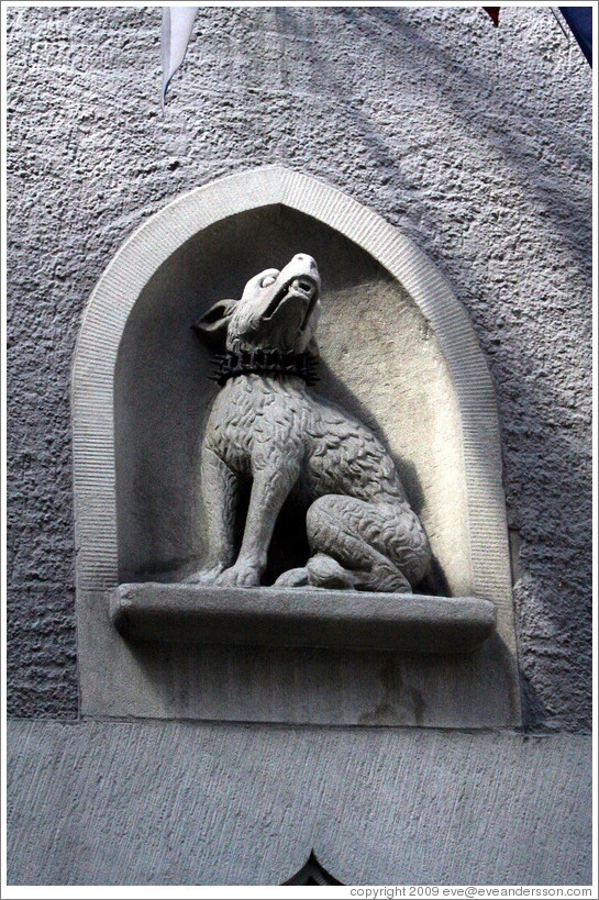 Dog with spiky collar.  R?den Restaurant.  Altstadt (Old Town).