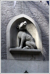 Dog with spiky collar.  R?den Restaurant.  Altstadt (Old Town).