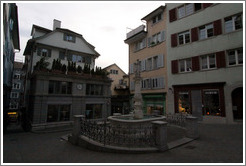 Fountain on Spiegelgasse.  Altstadt (Old Town).