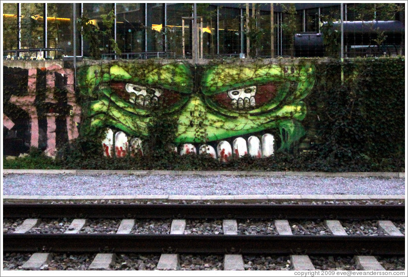 Graffiti by the train track.  Two skulls within a skull.