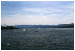 Swans and sailboats on Z?richsee (Lake Z?rich).