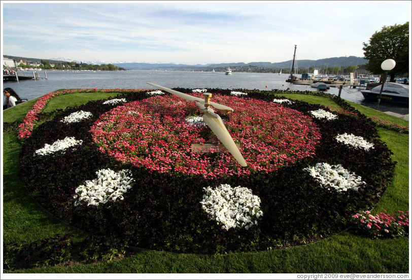 Flower clock on B?rkliplatz, on the shore of Z?richsee (Lake Z?rich).