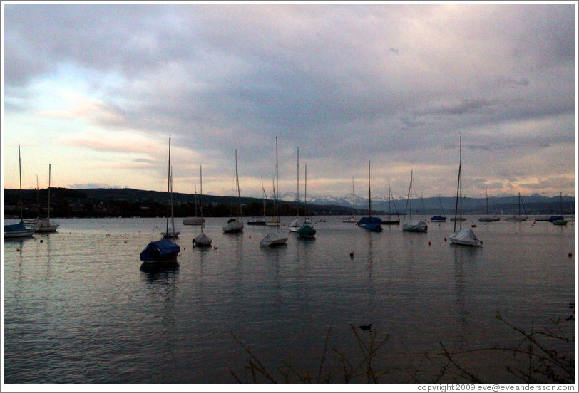 Sailboats on Z?richsee (Lake Z?rich) at dusk.