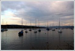Sailboats on Z?richsee (Lake Z?rich) at dusk.