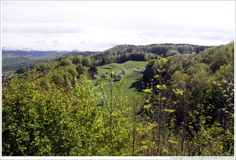 Rolling mountaintop fields.