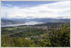 View to the south of Z?richsee (Lake Z?rich) and mountains.