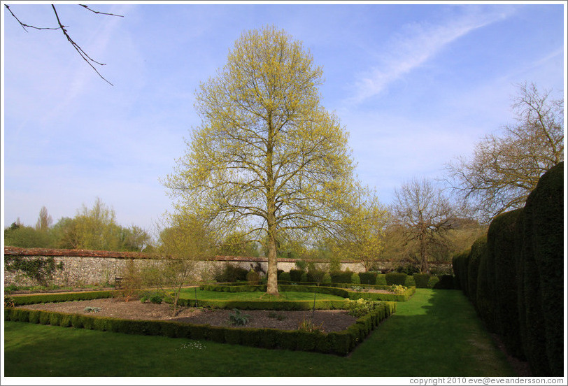 Compton Garden, Hospital of St Cross.