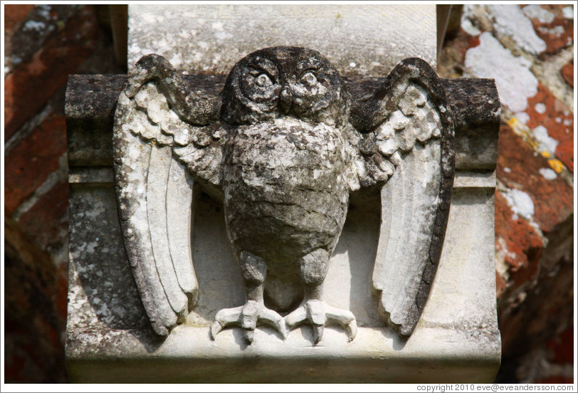 Owl sculpture, Hospital of St Cross.