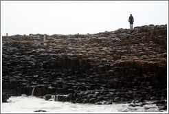 Man standing on Giant's Causeway.