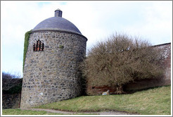 Dovecote and Icehouse and a sheep under a tree, Walled Garden, grounds of the Mussenden Temple.